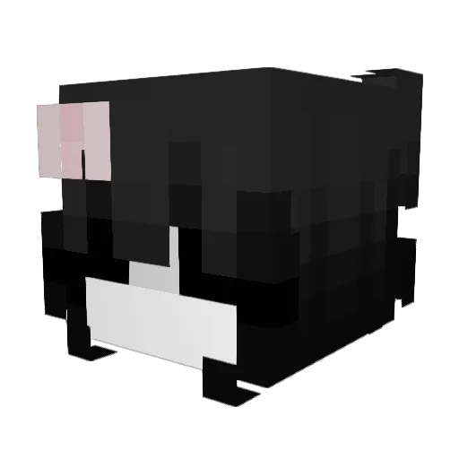 dvmbkitty Minecraft avatar head, 3D render