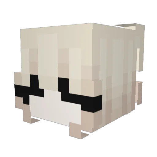 dvql Minecraft avatar head, 3D render
