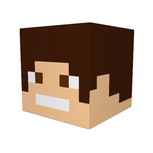 dvs23 Minecraft avatar head, 3D render