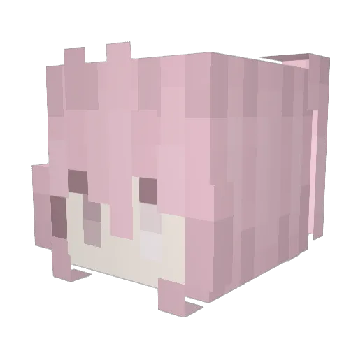 dwaehi Minecraft avatar head, 3D render