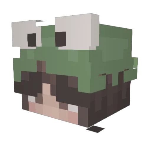 dwagonrida Minecraft avatar head, 3D render