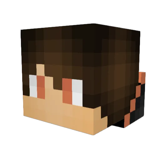dwasd8 Minecraft avatar head, 3D render