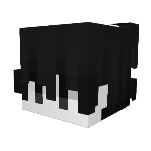 dwebduiwedbuiwe Minecraft avatar head, 3D render