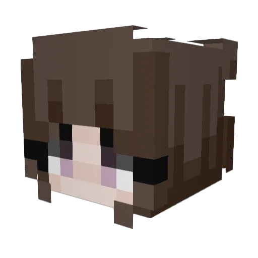dweebshaker Minecraft avatar head, 3D render