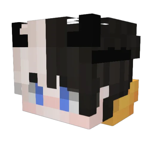 dwightschrute3 Minecraft avatar head, 3D render
