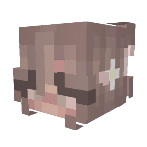 dwightschrute_ Minecraft avatar head, 3D render
