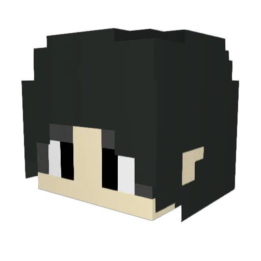 dwoook Minecraft avatar head, 3D render