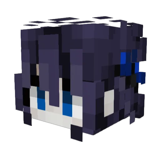 dwtd Minecraft avatar head, 3D render