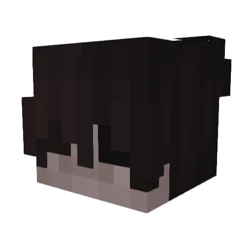 dwunastnica_ Minecraft avatar head, 3D render
