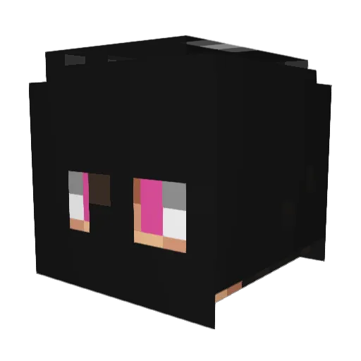 dwundwun Minecraft avatar head, 3D render