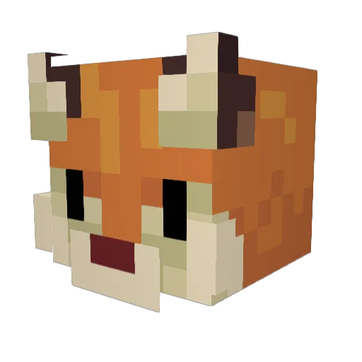 dwwzzh Minecraft avatar head, 3D render