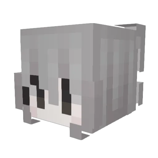 dwxae Minecraft avatar head, 3D render