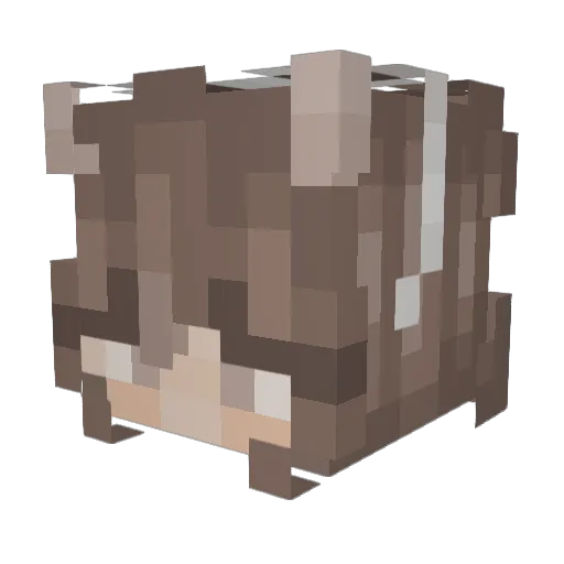 dx_sakuraa Minecraft avatar head, 3D render