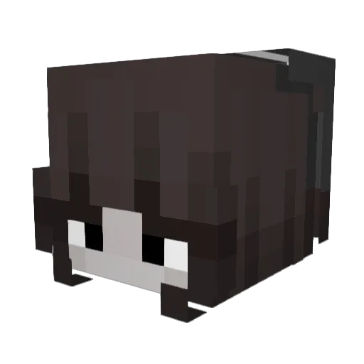 dxad_roses Minecraft avatar head, 3D render