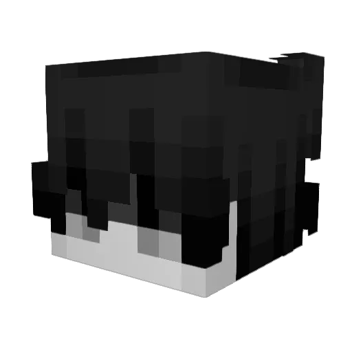 dxbb212 Minecraft avatar head, 3D render