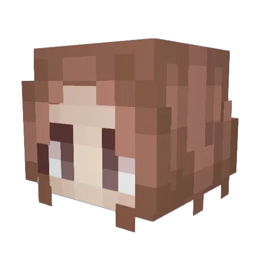 dxm66 Minecraft avatar head, 3D render