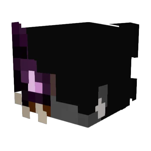 dxnie7 Minecraft avatar head, 3D render