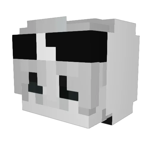 dxnny_skk Minecraft avatar head, 3D render