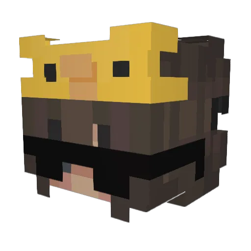 dxnxsx Minecraft avatar head, 3D render