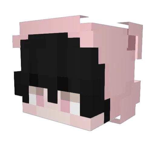 dxquyfn Minecraft avatar head, 3D render