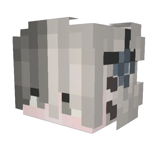 dxrh Minecraft avatar head, 3D render