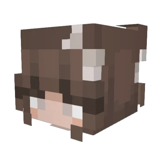 dxsily Minecraft avatar head, 3D render