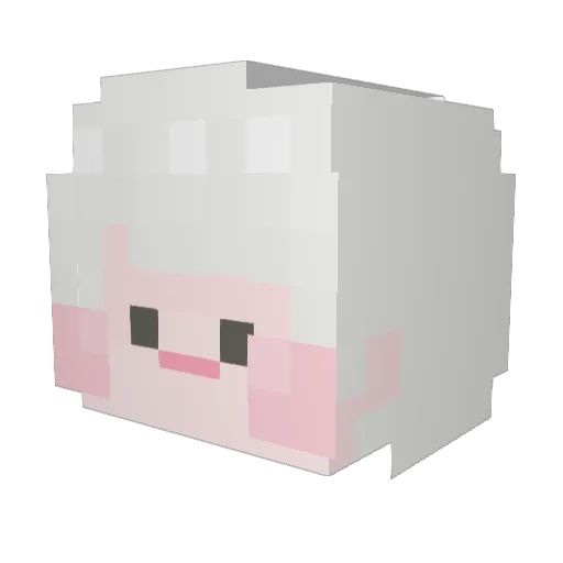 dxwon Minecraft avatar head, 3D render