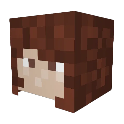 dy14an Minecraft avatar head, 3D render