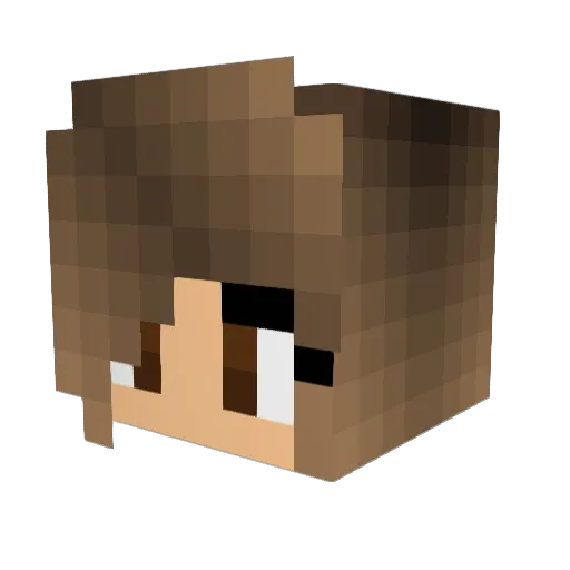 dy4destiny Minecraft avatar head, 3D render