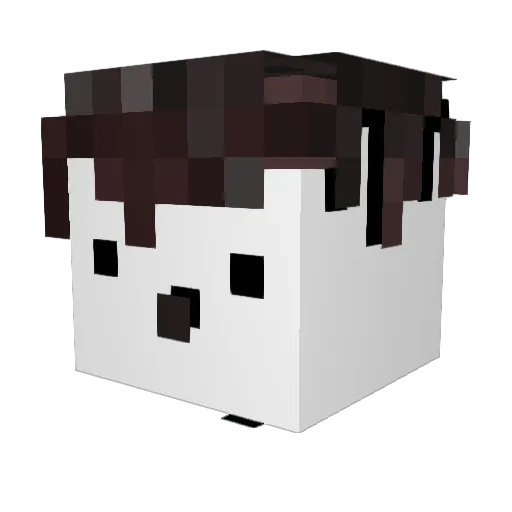 dyL1_ Minecraft avatar head, 3D render
