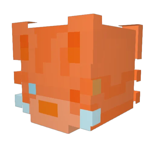dyancat Minecraft avatar head, 3D render