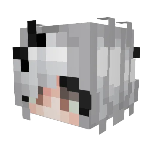 dyc667 Minecraft avatar head, 3D render
