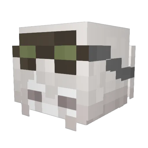 dyedran Minecraft avatar head, 3D render