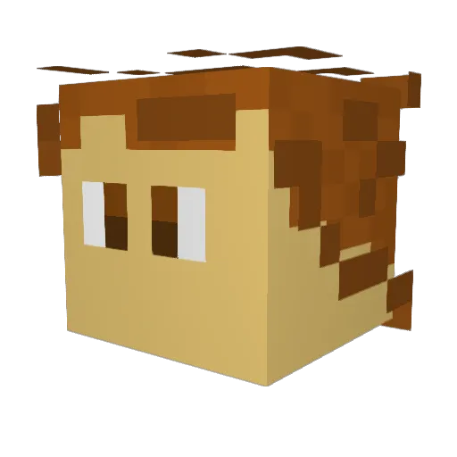 dyfish Minecraft avatar head, 3D render