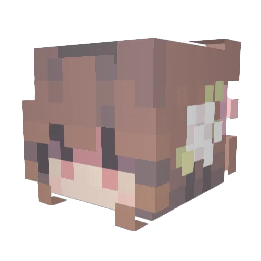 dygsh Minecraft avatar head, 3D render