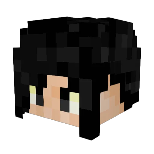 dyhw Minecraft avatar head, 3D render