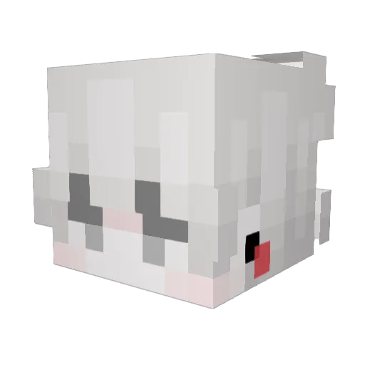 dyingdusky Minecraft avatar head, 3D render