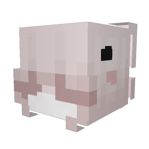 dyingpearl Minecraft avatar head, 3D render