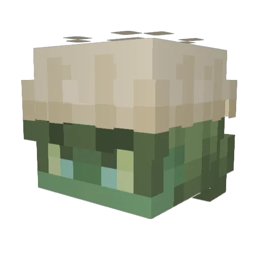 dykw Minecraft avatar head, 3D render