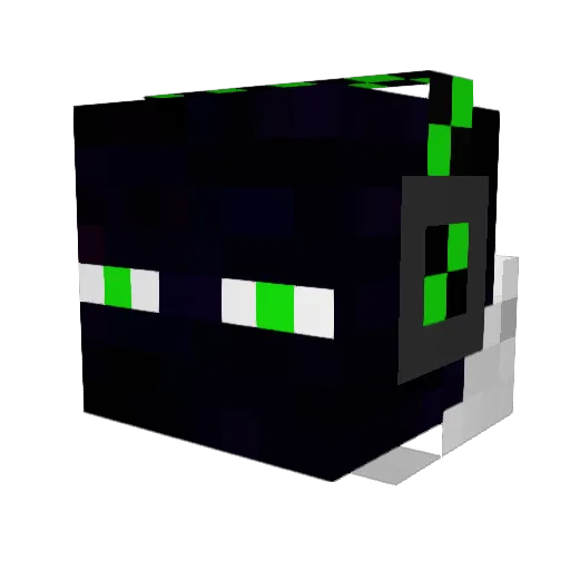 dylan6215 Minecraft avatar head, 3D render