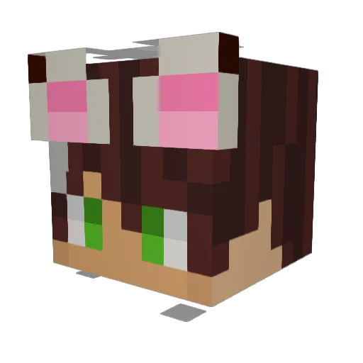 dylan76564 Minecraft avatar head, 3D render