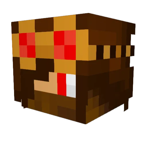dylan772 Minecraft avatar head, 3D render
