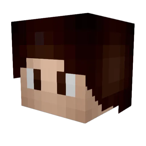 dylancool12 Minecraft avatar head, 3D render