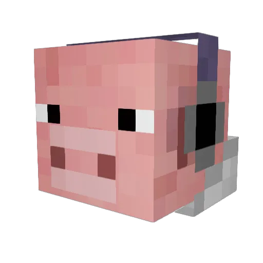 dylandoo Minecraft avatar head, 3D render