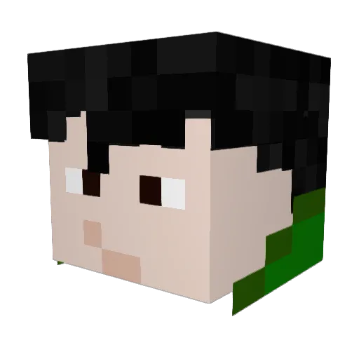 dylangamer800 Minecraft avatar head, 3D render