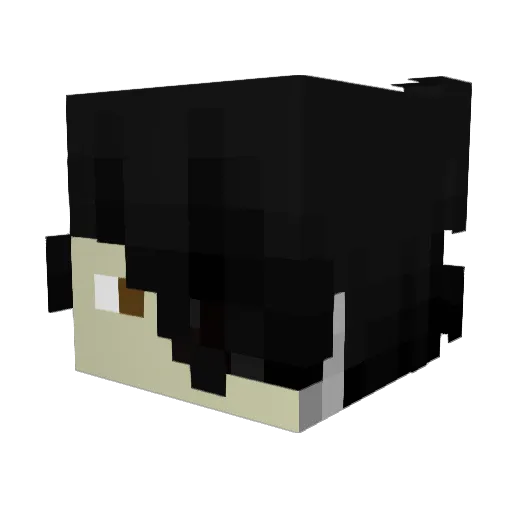 dylangames5975 Minecraft avatar head, 3D render