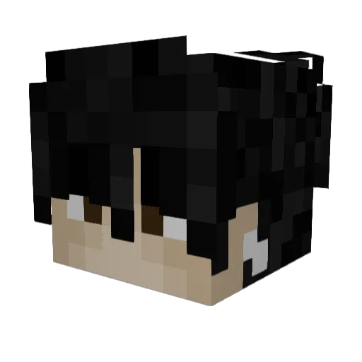 dylanisnotblack Minecraft avatar head, 3D render