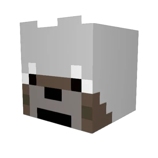 dylanjames364 Minecraft avatar head, 3D render