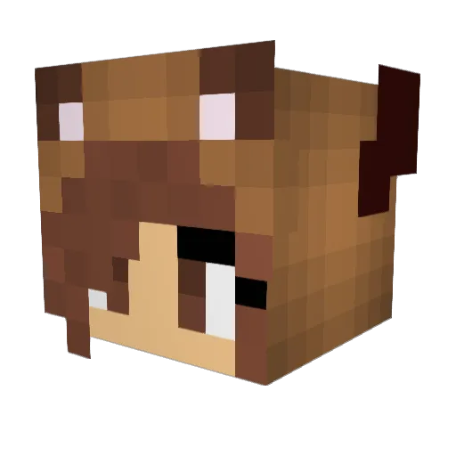 dylann11403 Minecraft avatar head, 3D render