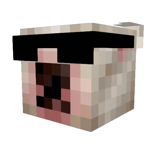 dylep Minecraft avatar head, 3D render
